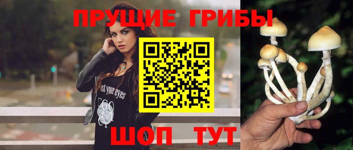Псилоцибиновые грибы мухоморы  Вход с VPN  Сатка 