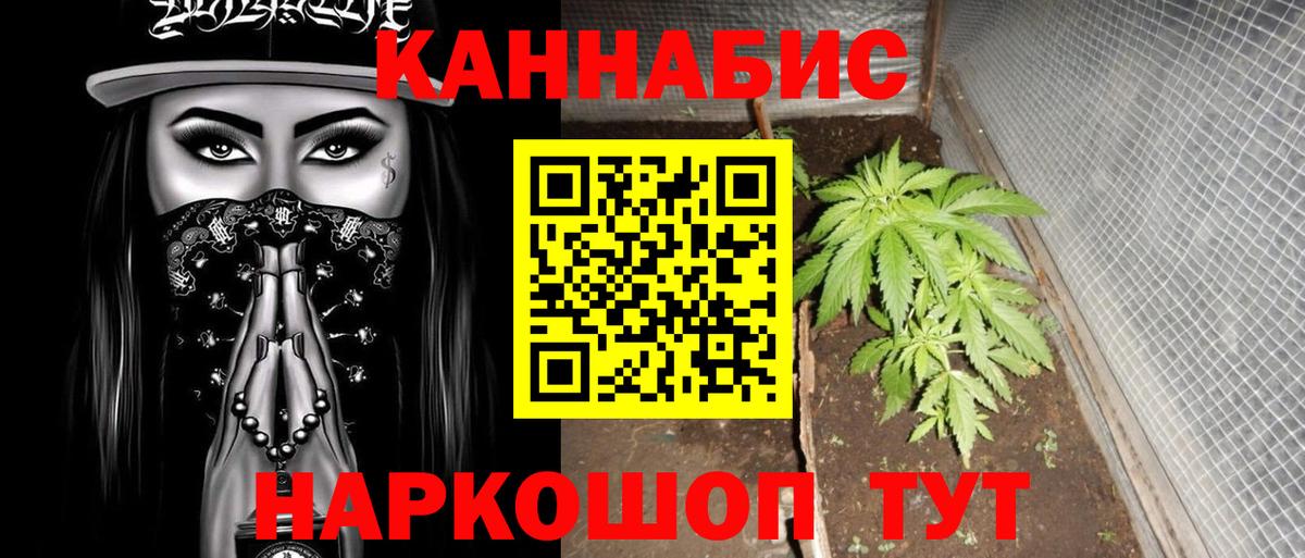 Конопля AK-47  Вход с VPN  Каннабис SATIVA & INDICA  Сатка  Шишки марихуана сатива 